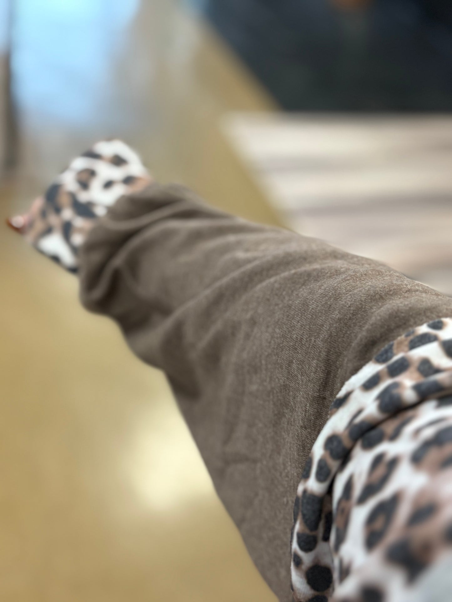 Pops of Leopard Long Sleeve